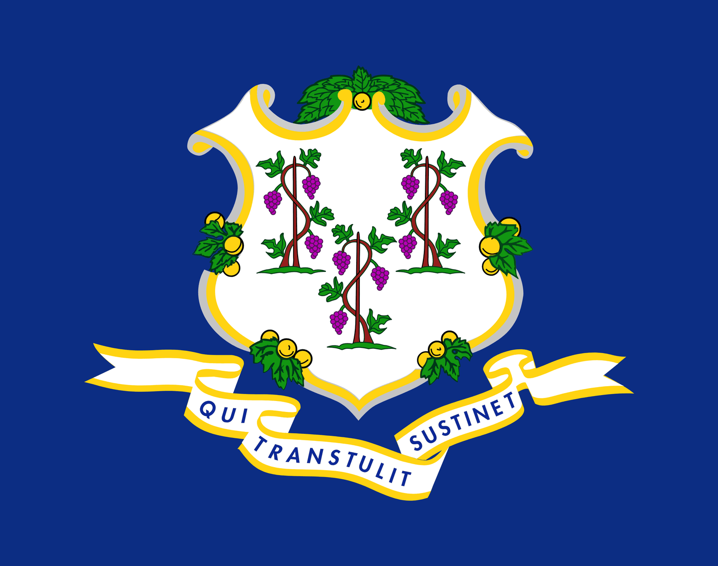 Connecticut Flag